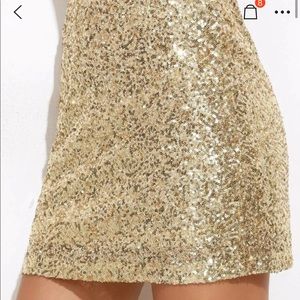 Embroidered Sequin Mini Skirt (Gold)